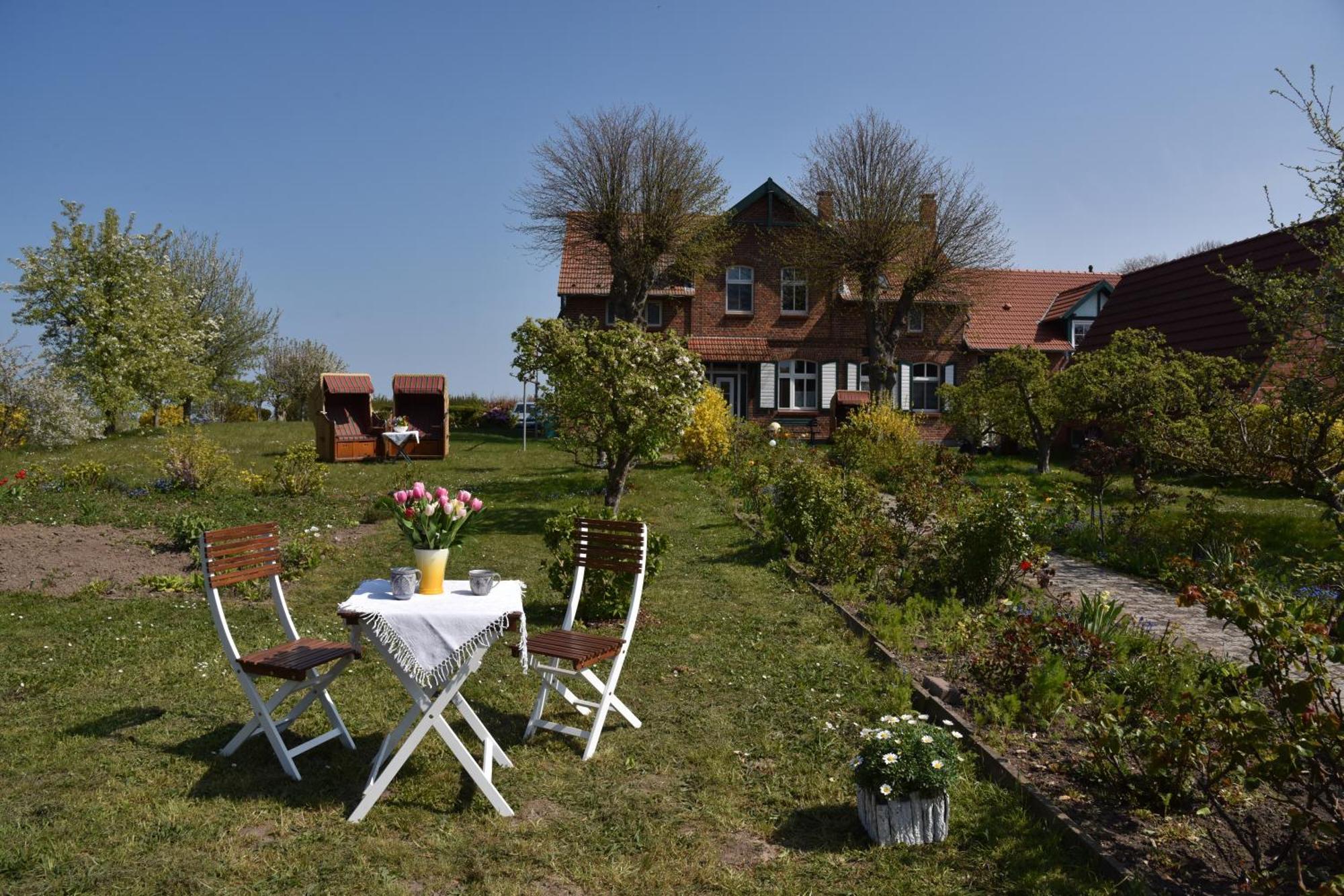 Hotel/Pension Bradhering Ahrenshoop Dış mekan fotoğraf